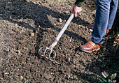 Soil preparation for sowing or planting