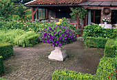 Formaler Garten mit Buxus sempervirens (Buchs) eingefaßt und als Mittelpunkt Blumenspindel mit Petunia (Petunien), Hedera (Efeu) als Zaun, überdachte Terrasse am Haus