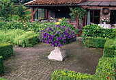 Formal garden with Buxus sempervirens (boxwood) bordered and as centre flower spindle with Petunia (petunias), Hedera (ivy) as fence, covered terrace at the house