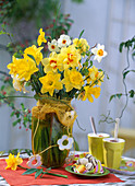 Various daffodils (Narcissus)