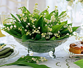 Convallaria (Lily of the Valley)