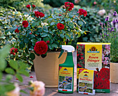 Product intake, rose fertilizer