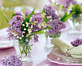 Syringa (lilac)