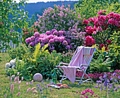 Rhododendron, Syringa (dwarf lilac)