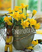 Narcissus hybr. (daffodils, thyme twigs)