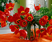 Bouquet of tulips 'Red Paradise'
