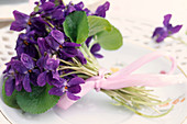 Viola odorata (Duftveilchen) als Tischdeko