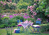 Coffee table in the garden next to Syringa reflexa (nodding lilac)