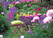 Pink garnish on the bed with Paeonia (peony)