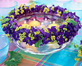 Glass bowl with wreath of Delphinium (delphinium)