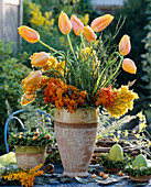 Tulipa (long-stemmed French tulips)