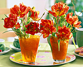 Tulipa 'Rococo' (Papageitulpen), Cornus (Hartriegelzweige) Steckhilfe Sisal