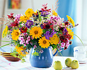 Heliopsis (Sonnenauge), Monarda (Indianernessel)