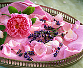 Rosa 'Brother Cadfael' (English fragrant rose)