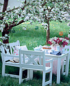 Seating under a blossoming apple tree