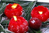 Rote runde Kerzen auf Kiefernzweigen im Rauhreif