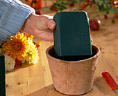 Dahlia arrangement: Put a plug-in sponge in a clay pot, Dahlia (dahlias)