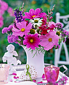 Cosmos (Schmuckkörbchen), Ageratum (Leberbalsam)