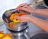 Making marigold ointment (2/6)