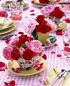 Pink (rose petals) in cups