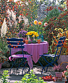 Blaue Garnitur, rosa Tischdecke, Aster, Chrysanthemum, Calluna (Heide)