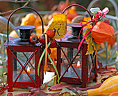 Rote Laternen dekoriert mit Physalis (Lampion)