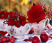 Rosa (Rose, Hagebutte) rot in Porzellanvasen mit Henkel