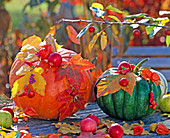 Cucurbita (Kürbis, Zierkürbis) dekoriert mit Herbstlaub