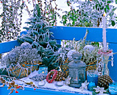 Arrangement with hoarfrost on blue bench