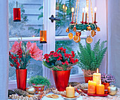 Weihnachtlich dekoriertes Fenster mit Kalanchoe