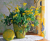 Aeonium arboreum in yellow pot, yellow ball