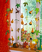 Cucurbita, Liquidambar on wire as window decoration