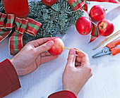 Advent wreath with ilex and apples