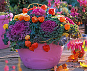 Brassica in pink floor bowl, decorated with physalis branches