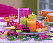Chamaecyparis (Scheinzypresse), 4 bunte Kerzen auf rosa Glasteller