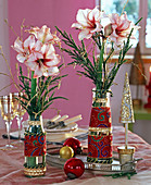 Hippeastrum (Amaryllis) in white-red with gilded betula