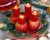 Ungewöhnlicher Adventskranz aus roten Kerzen auf ausgehöhltem Malus (Apfel)