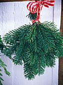 A Abies nordmanniana (Nordmann fir) bouquet