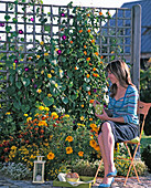 Colorful summer bed with trellis