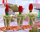 Tulipa 'Red Paradise' (Tulpe) in Gläsern mit Seidenpapier