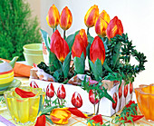 Tulipa 'Red Paradise', 'Flair' (Tulpe) in weißer Holzkiste