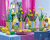 Easter breakfast table, Narcissus 'Tete À Tete' (Daffodil)