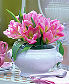 Tulipa 'Louvre' (tulips) bouquet, pink with green touch