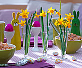 Narcissus 'Tete-à-Tete' (daffodils) in narrow glass vases, Easter eggs
