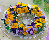 Horned violet wreath with ivy