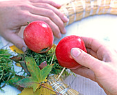 Wreath made of apples and amber leaves