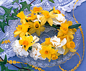 Mixed daffodils