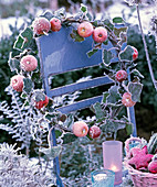 Malus (ornamental apple) and Hedera (ivy) wreath with hoarfrost