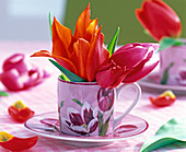 Tulipa (tulip) flowers in espresso cup with tulip motif