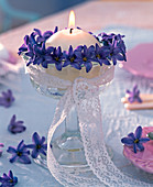 Kranz aus blauen Blüten von Hyacinthus (Hyazinthen) um weiße Kerze